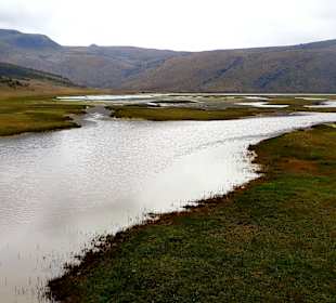 Cotopaxi Nationalpark