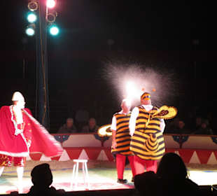 Landauer Weihnachtcircus 2016
