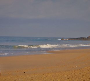 Ahungalla Beach
