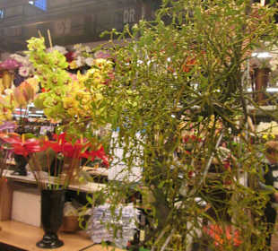 Hala Targowa Wrocław