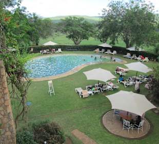 Gartenanlage mit Pool-erfrischend