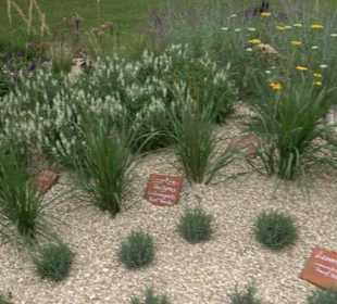 Blühendes Neresheim