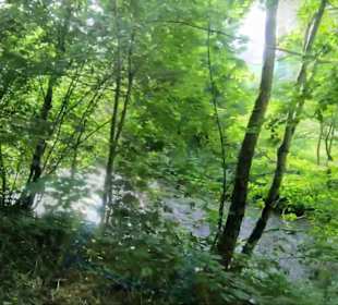 Wandern Schenkenzell