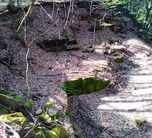 Wanderweg Sagenhafter Waldpfad Landstuhl