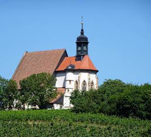 Blick auf die Wallfahrtskirche Maria im Weingarten