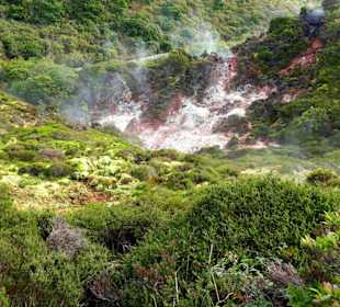 Inselrundfahrt Terceira