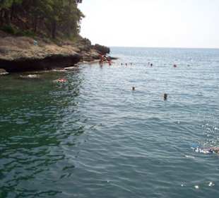 Schwimmen vom Boot aus