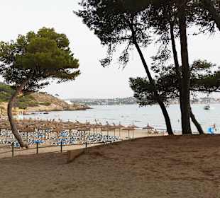 Strand Paguera/Peguera