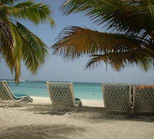 Ausflug Saona De Luxe