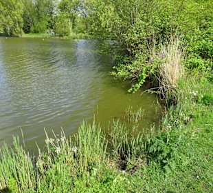 Impressionen aus dem Seenpark in Nordenham