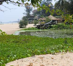 An der Strandbar ca. 1 km vom Resort The Regent Cha Am nördl