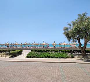 Strandpromenade Playa/Platja de Palma