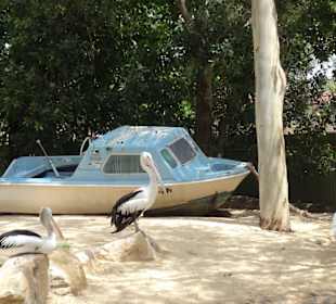 Stadtrundgang Sydney