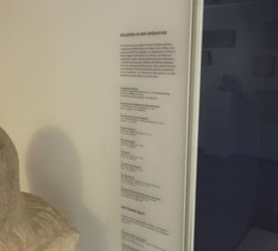 Rheinisches Landesmuseum