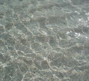 Wasser