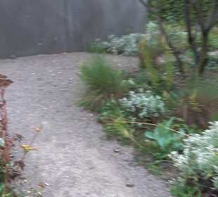 Garten Großbritanien