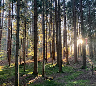 Wandern Hartberg