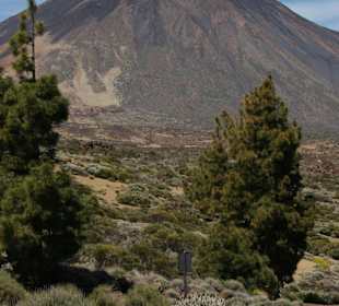 Ein Ausflug zum Teide