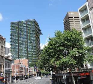 Mit dem Hop-on hop-off Bus in Sydney unterwegs