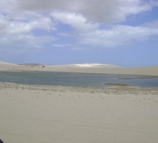 Buggy tour lagoa de paraiso