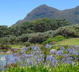 Cape Point Vineyards in Noordhoek
