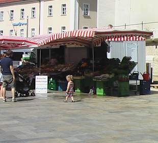 Immer was zu sehen ... 