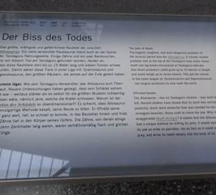 Museum für Naturkunde
