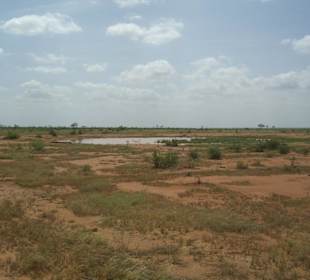 Tsavo ost
