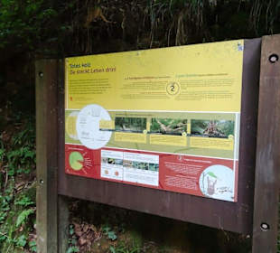 Wanderung durch die Kleine Luxemburger Schweiz