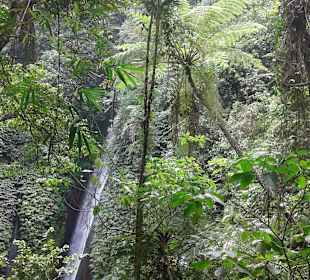 Munduk waterfall