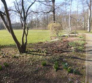Unterwegs im Park der Wehranlagen Schweinfurt