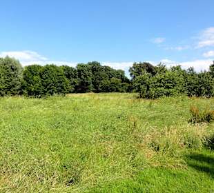Impressionen aus dem Oslebshauser Park