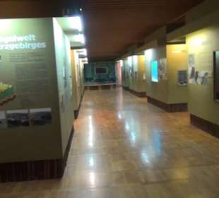 Jagdtier + Vogelkunde