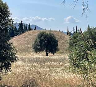 Wandern Nea Makri