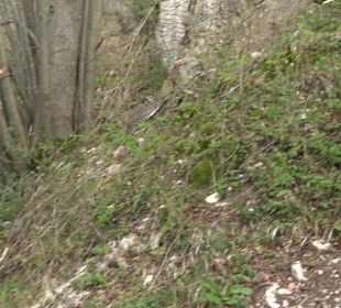 Wanderung rund um das Rusenschloss Gerhausen