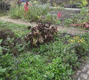 Umweltbildungszentrum Listhof