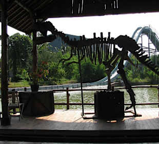 В зоопарке Бали