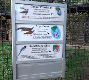 Zoologischer Garten