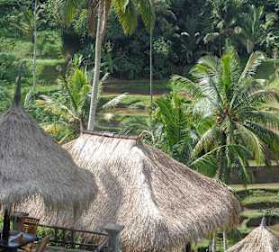 Blick auf die Terrassen
