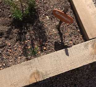 Arzneipflanzengarten Klosterreichenbach