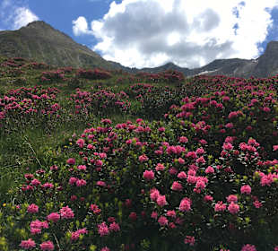 Wandern Saltaus in Passeier