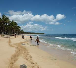 Trailritt an einem einsamen kilometerlangen Strand