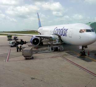 Unsere Condor