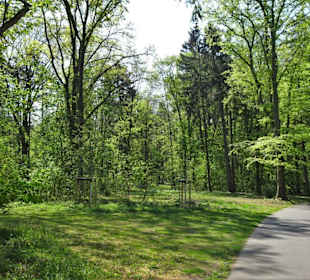 Eindrücke aus dem Prinz-Albrecht-Park