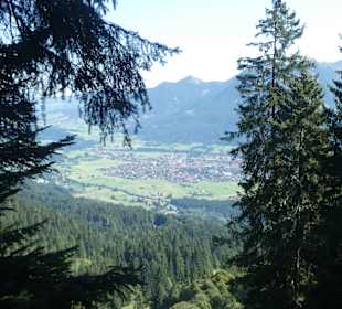 Wanderung vom Söllereck zum Freibergsee