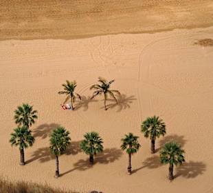 ,,Unter - Palmen''