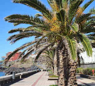 Impressionen von der Promenade Caniço