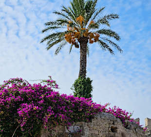 Wandern Rhodos Stadt