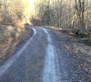 Wanderung rund um den Ochsenweiher