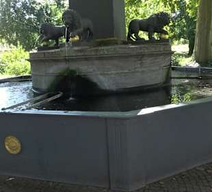 Löwenbrunnen im Akademiegarten